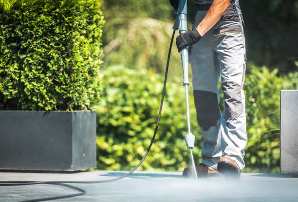 Best Graffiti Removal  in Wayne, MI