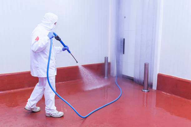 Best Building Exterior Washing  in Wayne, MI